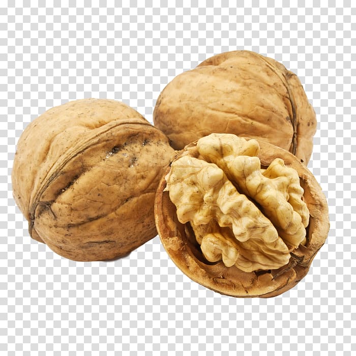 English walnut, walnut transparent background PNG clipart