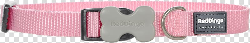 Dingo Dog collar Puppy, red collar dog transparent background PNG clipart