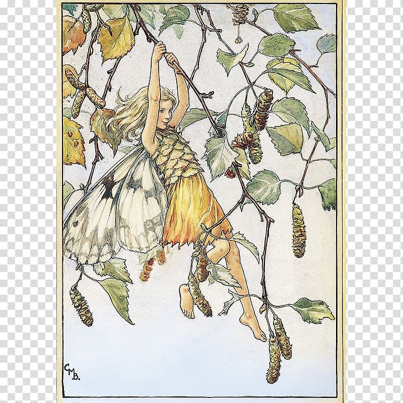 The book of the flower fairies Flower fairies of the summer Fairy Silver birch, Fairy transparent background PNG clipart