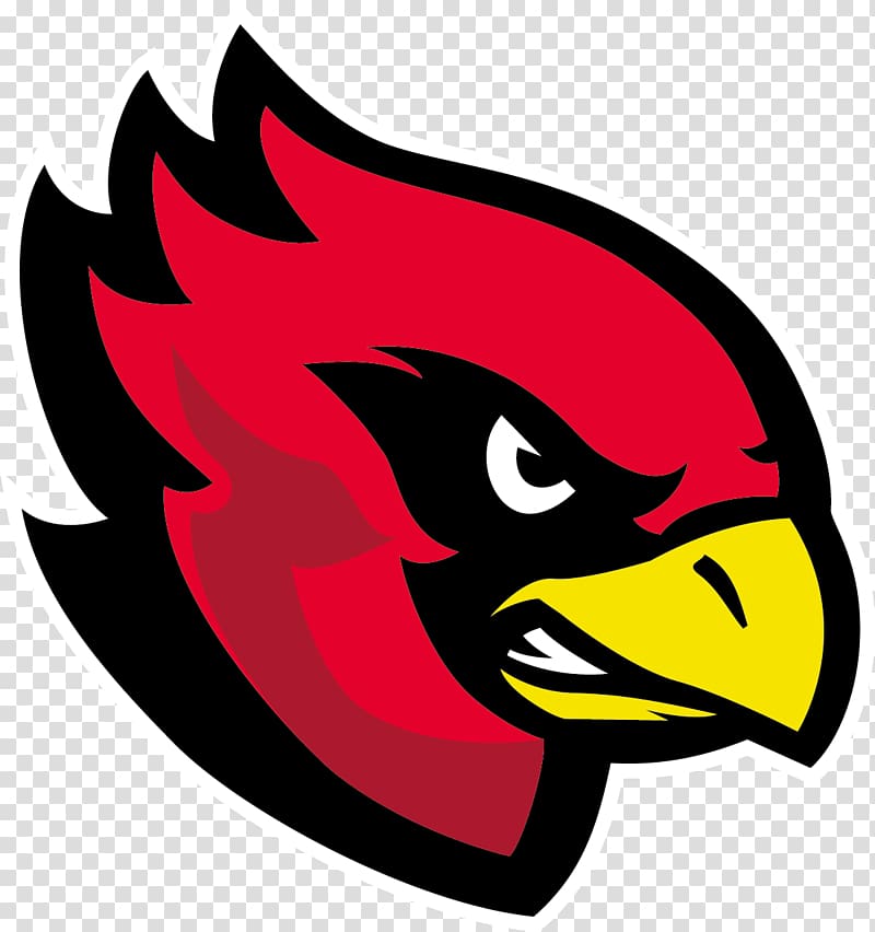 Sportpark am Hallo Assindia Cardinals Arizona Cardinals Bielefeld Bulldogs Cologne Falcons, american football transparent background PNG clipart