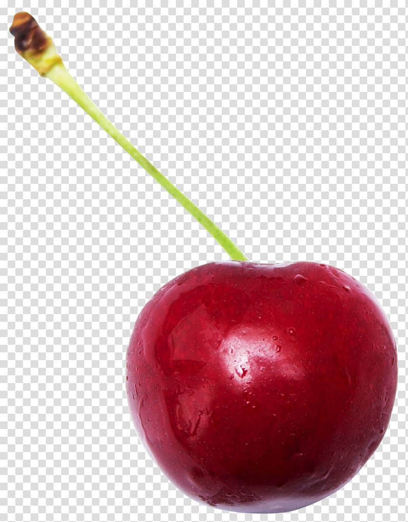 Sweet Cherry Sour Cherry Cerasus Fruit, cherry transparent background PNG clipart