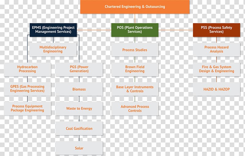 Organizational chart Management Gasification Company, organ design transparent background PNG clipart