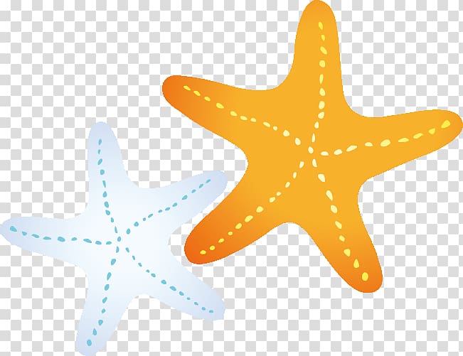 Starfish editing Echinoderm, 3g summer special summer privileges transparent background PNG clipart