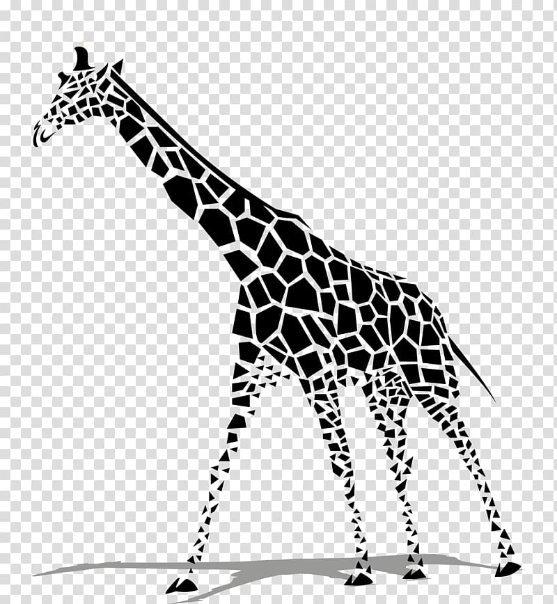 Giraffe Euclidean , Black zebra transparent background PNG clipart
