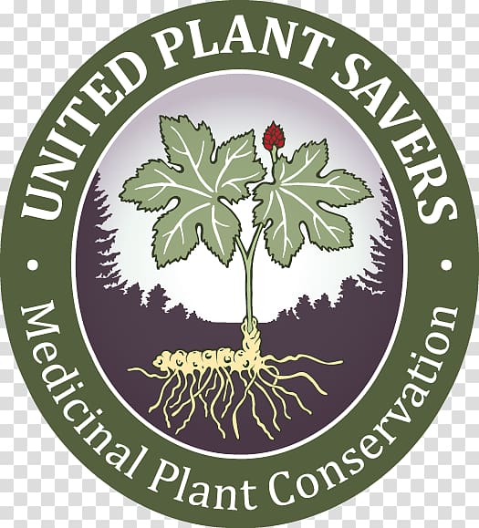 United Plant Savers Medicinal plants United States Goldenseal, plant transparent background PNG clipart