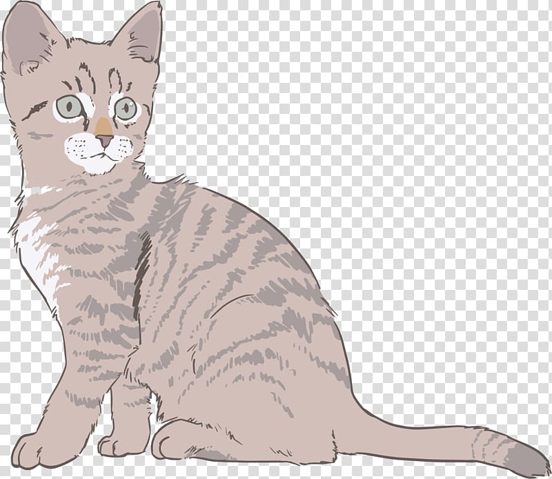 Kitten Sphynx cat Drawing , kitten transparent background PNG clipart