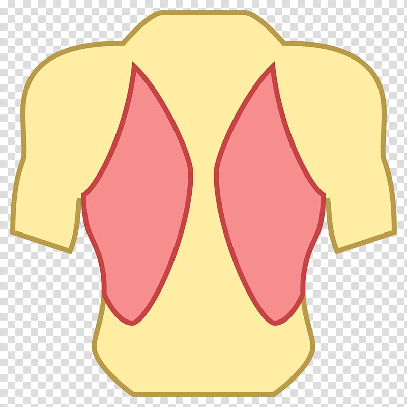 Computer Icons Torso Muscle Shoulder Human back, muscles transparent background PNG clipart