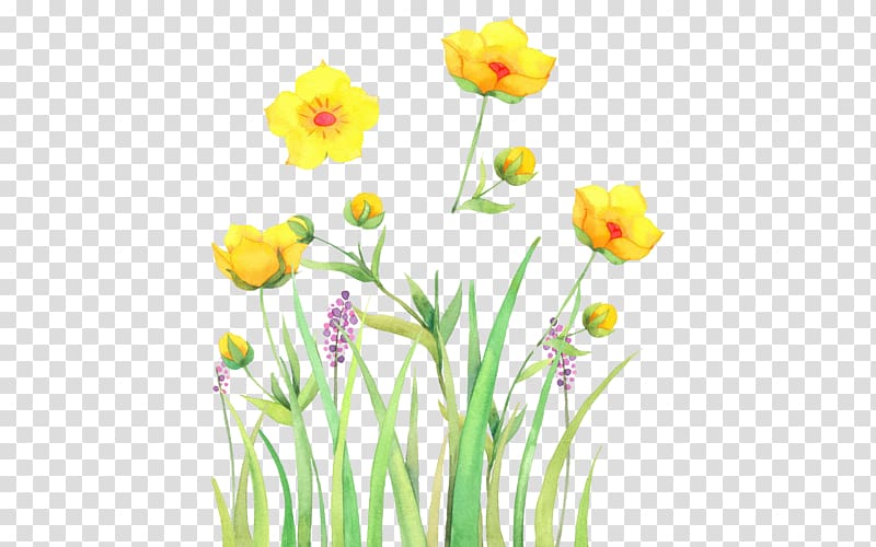 yellow lilies art, Watercolor: Flowers Watercolor painting, Painted grass flowers transparent background PNG clipart