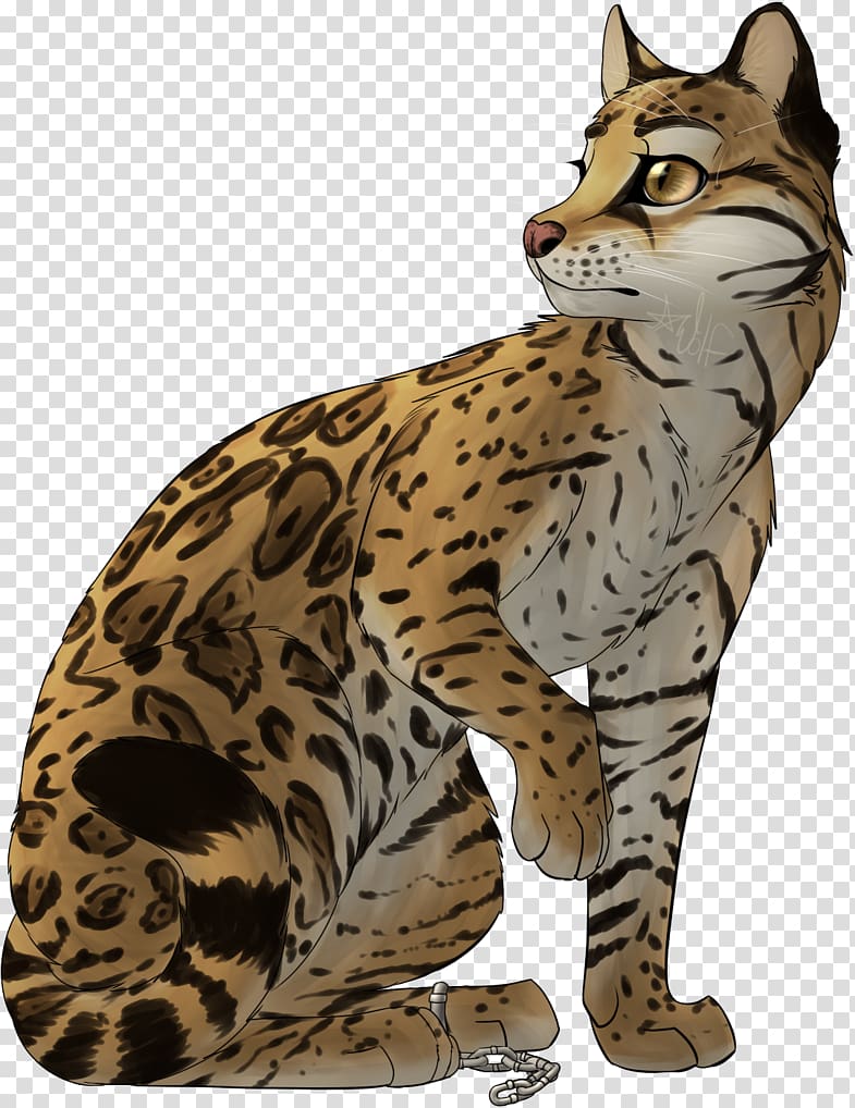 Ocelot Wildcat Felidae Cheetah, jaguar transparent background PNG clipart