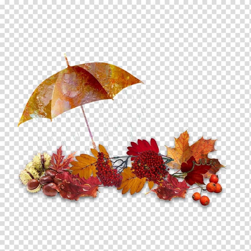 Umbrella Computer Icons , umbrella transparent background PNG clipart