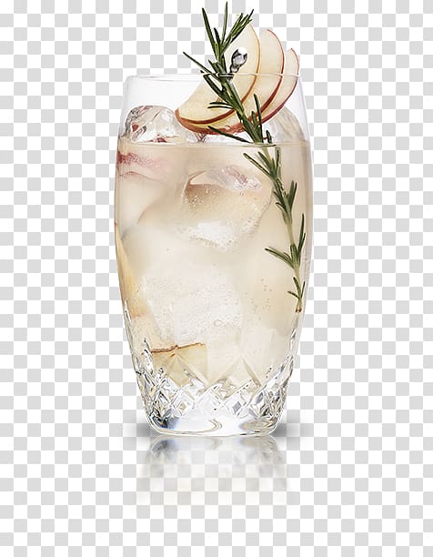 Cocktail Rickey Fizz Gin Shrub, cocktail transparent background PNG clipart