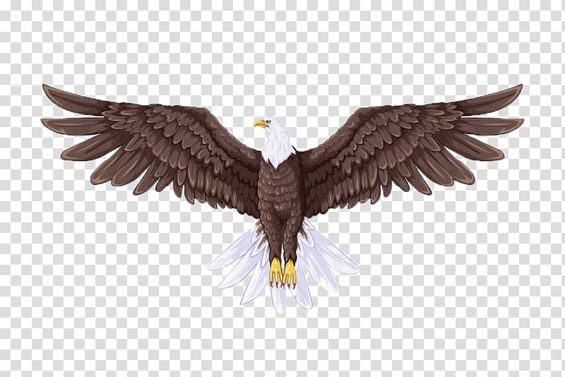 Bald Eagle Drawing Illustration, Sea carving body computer effect map transparent background PNG clipart