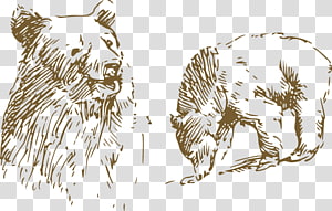 Tiger American black bear Asian black bear, Painted black bear transparent background PNG clipart thumbnail