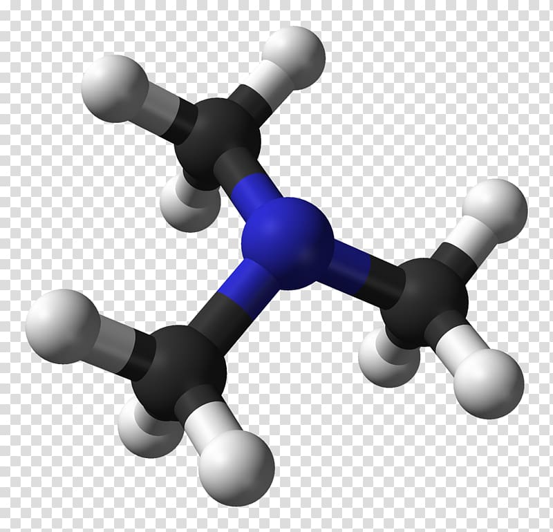 Trimethylamine Odor Cadaverine, microwave transparent background PNG clipart