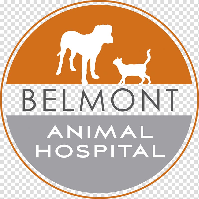 Belmont Animal Hospital Dog LBMC Blood Clinique vétérinaire, others transparent background PNG clipart