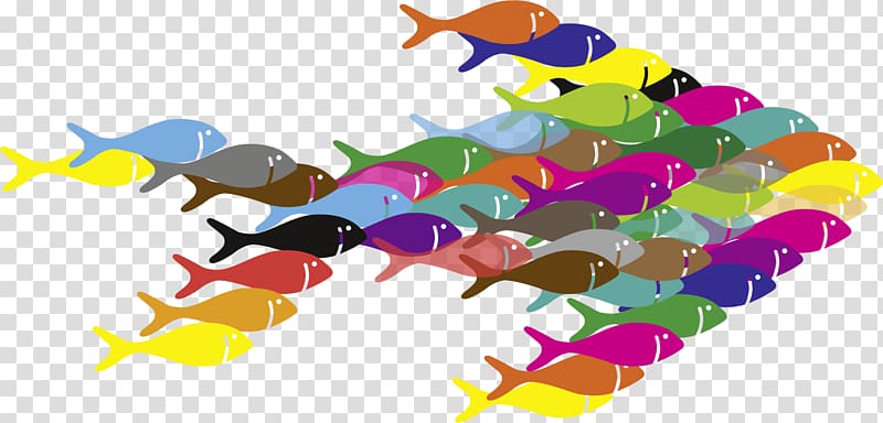 Addition Perception Division Negative number 0, marine fish transparent background PNG clipart