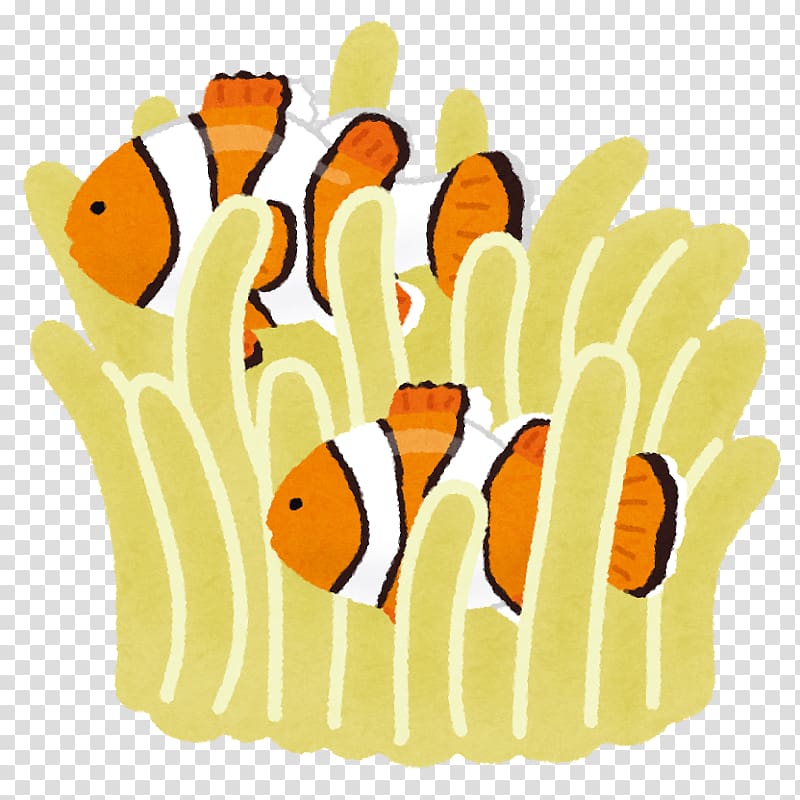 青の洞窟 Ocellaris clownfish 待機児童 Chūō Jardin d\'enfants, fish transparent background PNG clipart