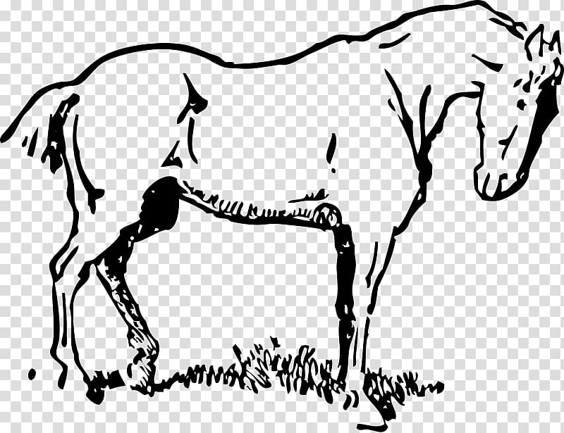 Mustang Draft horse Tennessee Walking Horse , mustang transparent background PNG clipart