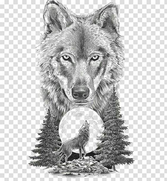 50 Wolf Tattoo Design Ideas & Meaning for Men & Women