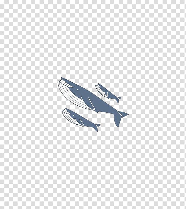Blue , Hand drawn shark transparent background PNG clipart
