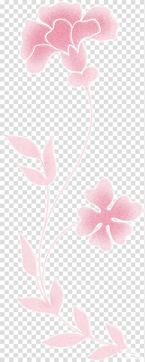 Moth orchids Floral design Rosaceae, design transparent background PNG clipart