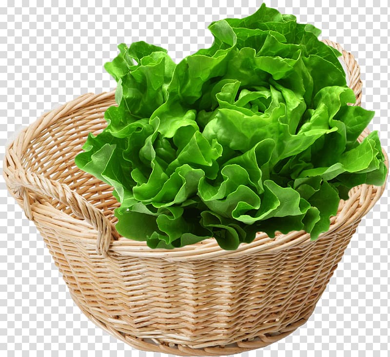 Romaine lettuce Leaf vegetable Organic food Spring greens, vegetable transparent background PNG clipart
