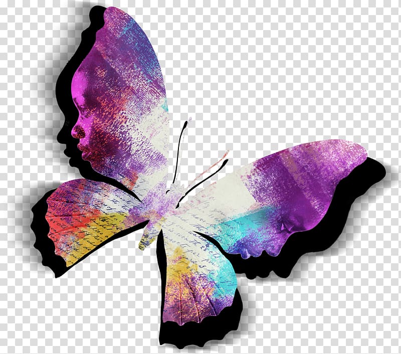 The Color Purple Violet Magenta, color butterfly transparent background PNG clipart