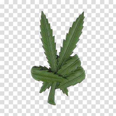 Cannabis Peace symbols Leaf Smoking , cannabis transparent background PNG clipart
