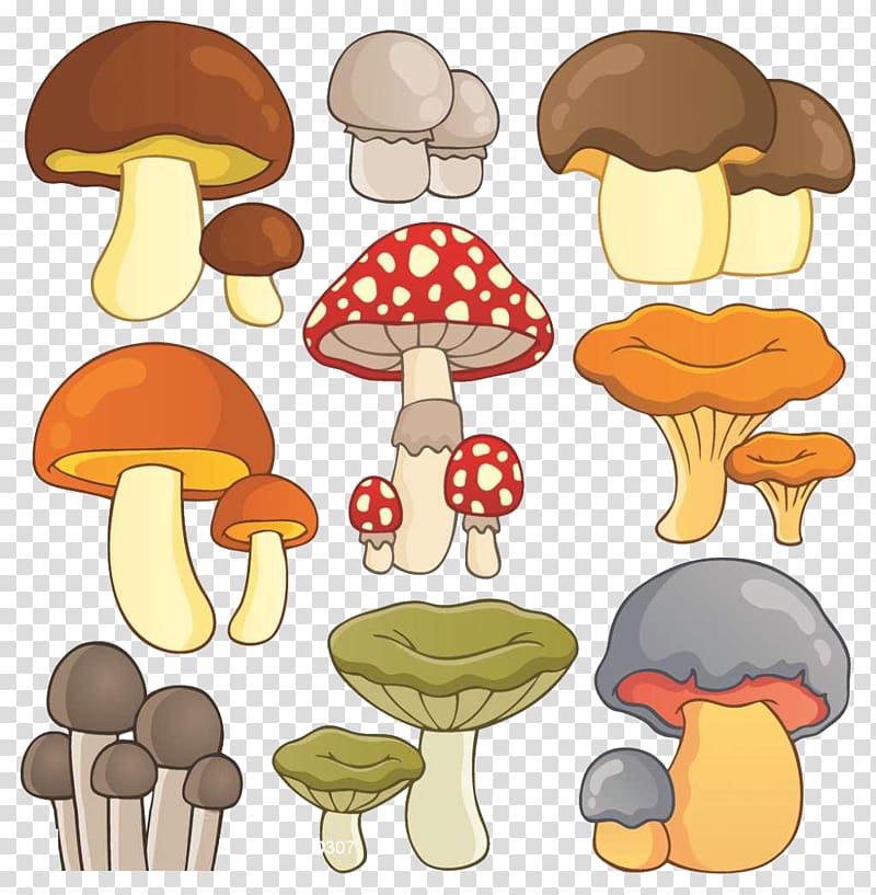 Mushroom Drawing Illustration, mushroom,lovely,Cartoon,color transparent background PNG clipart
