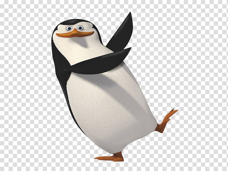 funny penguins transparent background PNG clipart