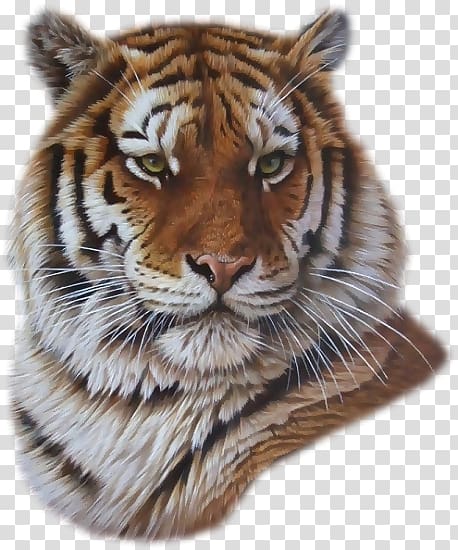 Painting Lion White tiger Artist, painting transparent background PNG clipart