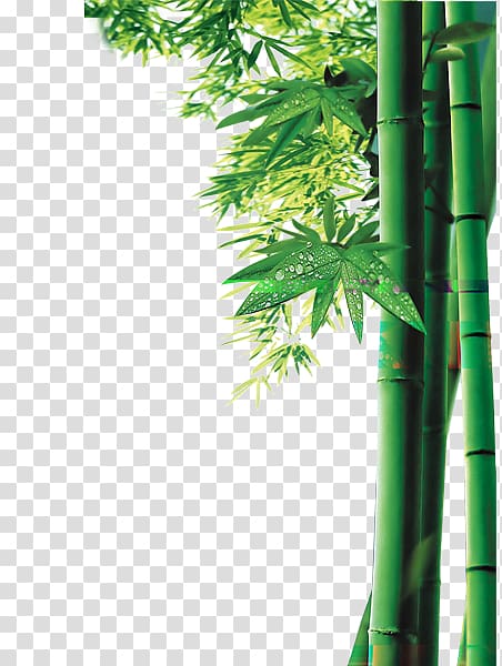 Bamboo Bamboe Computer file, bamboo transparent background PNG clipart