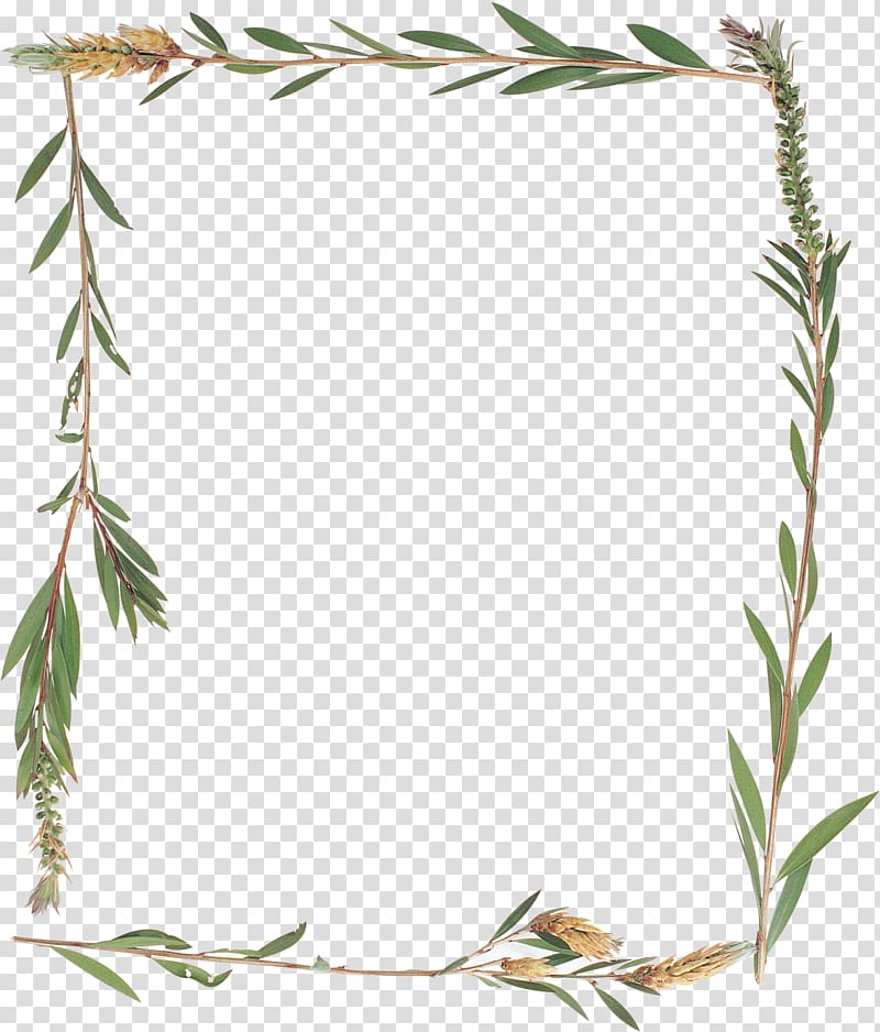Frames Herbaceous plant , others transparent background PNG clipart