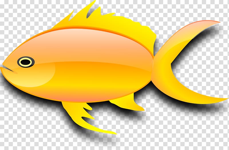 Goldfish , gold fish transparent background PNG clipart