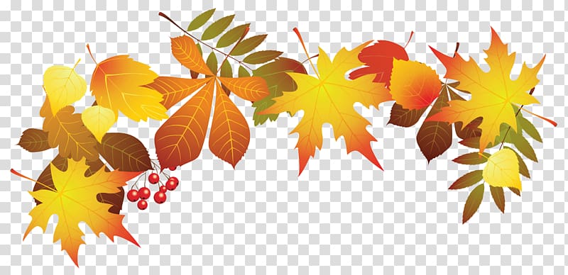 Brown leaves illustration, Autumn leaf color , Autumn Leaves Decoration transparent  background PNG clipart | HiClipart