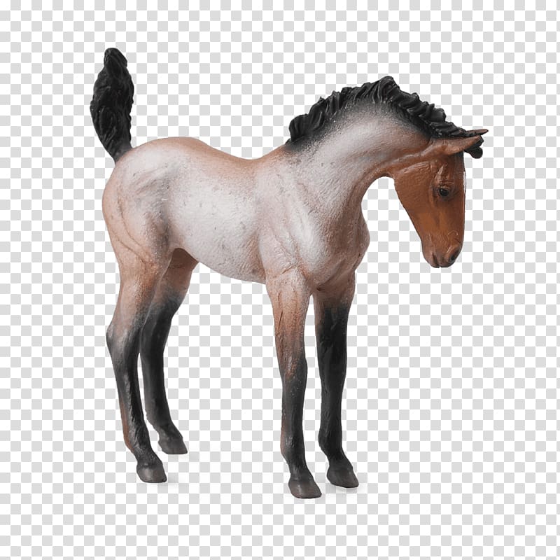 Foal Mustang Mare Clydesdale horse Bay, mustang transparent background PNG clipart