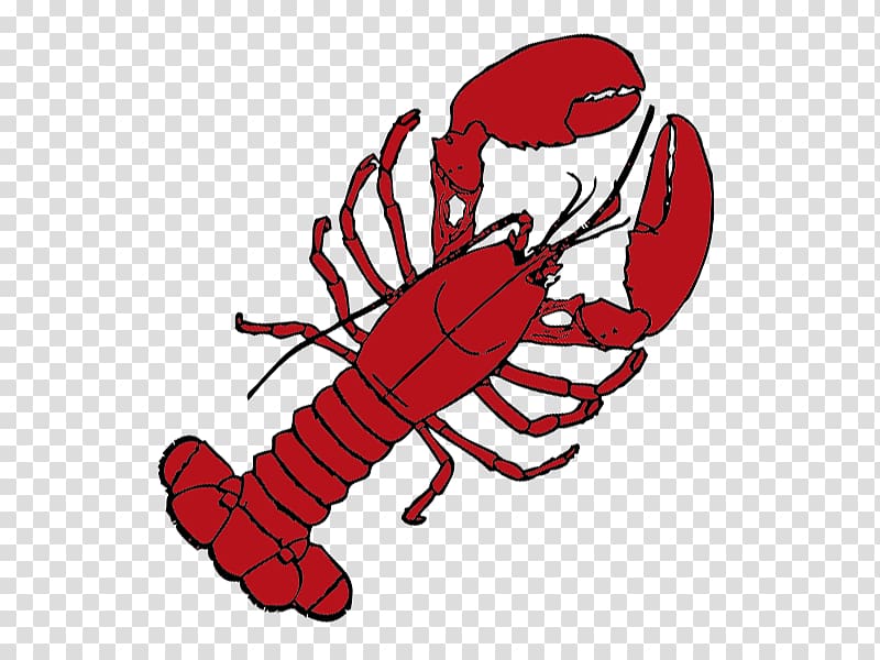Maine Lobster roll Drawing , Of A Lobster transparent background PNG clipart
