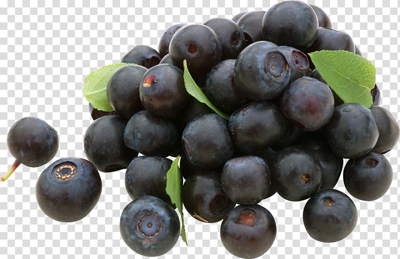 Blueberry Grape Frutti di bosco Bilberry, Blueberries transparent background PNG clipart