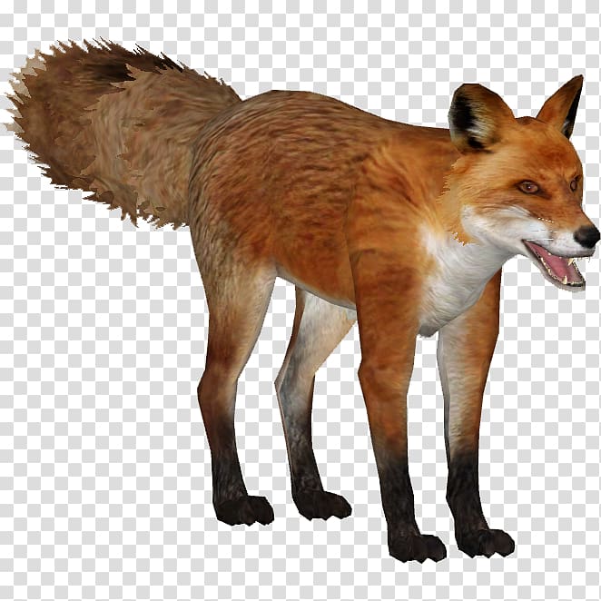 Zoo Tycoon 2 Kit fox Dhole Wiki, fox transparent background PNG clipart