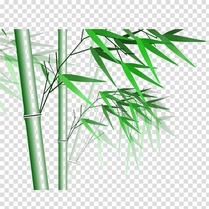 Bamboo Computer file, bamboo transparent background PNG clipart