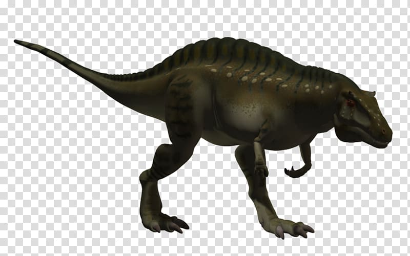 Tyrannosaurus Acrocanthosaurus Altispinax Dinosaur size Velociraptor, dinosaur transparent background PNG clipart