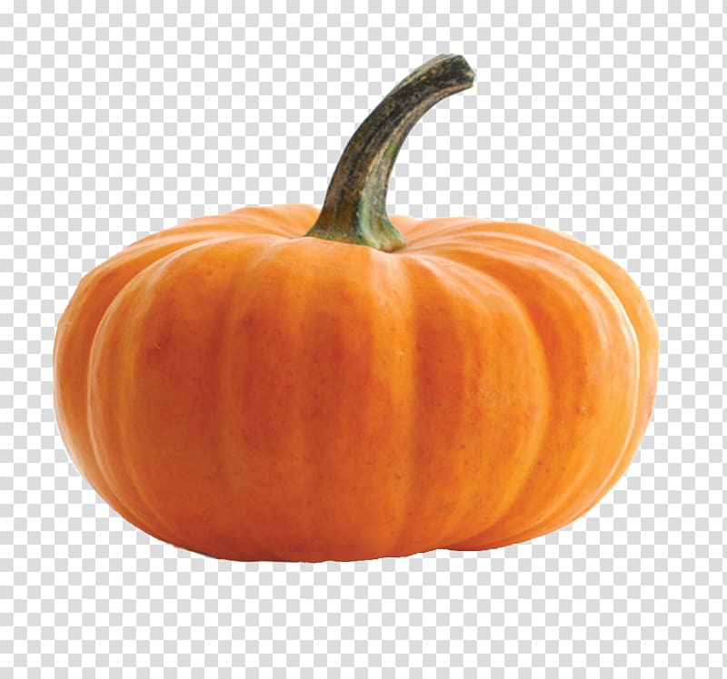 Pumpkin De snelle vegetarier: verrukkelijke recepten in een handomdraai Cucurbita maxima Red curry Cucurbita pepo, pumpkin transparent background PNG clipart