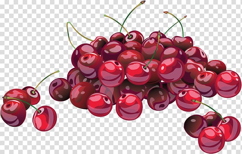 Cherries jubilee Sour cherry soup National Cherry Festival , cherry transparent background PNG clipart