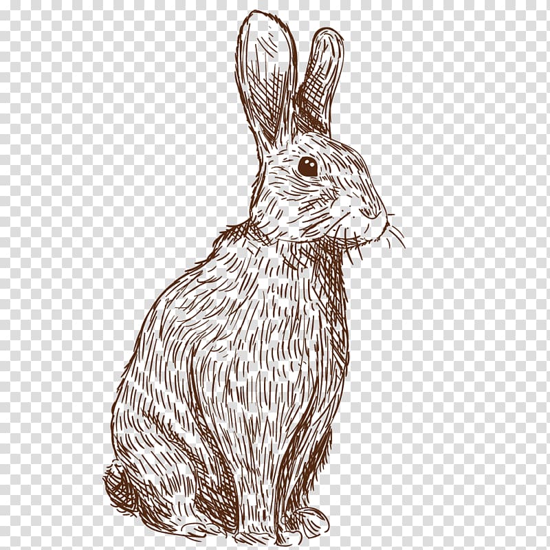painted rabbit transparent background PNG clipart