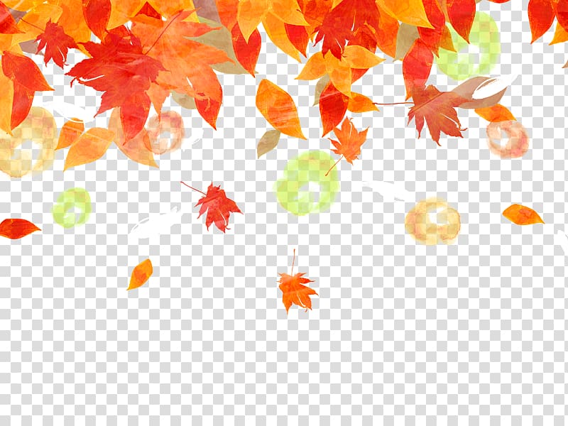 Background Fall Maple Leaf transparent background PNG clipart