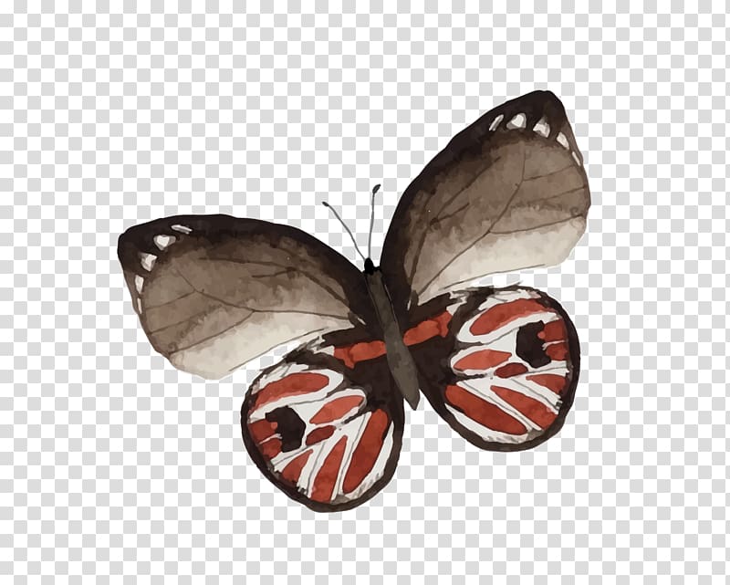 Butterfly Painting Drawing, butterfly transparent background PNG clipart