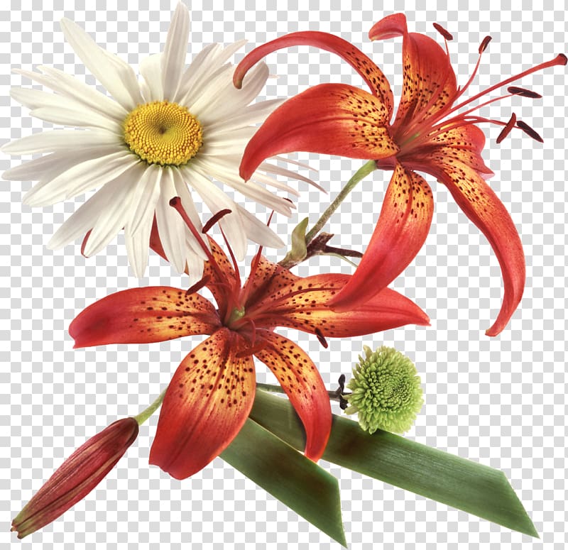 Flower , FLORES transparent background PNG clipart