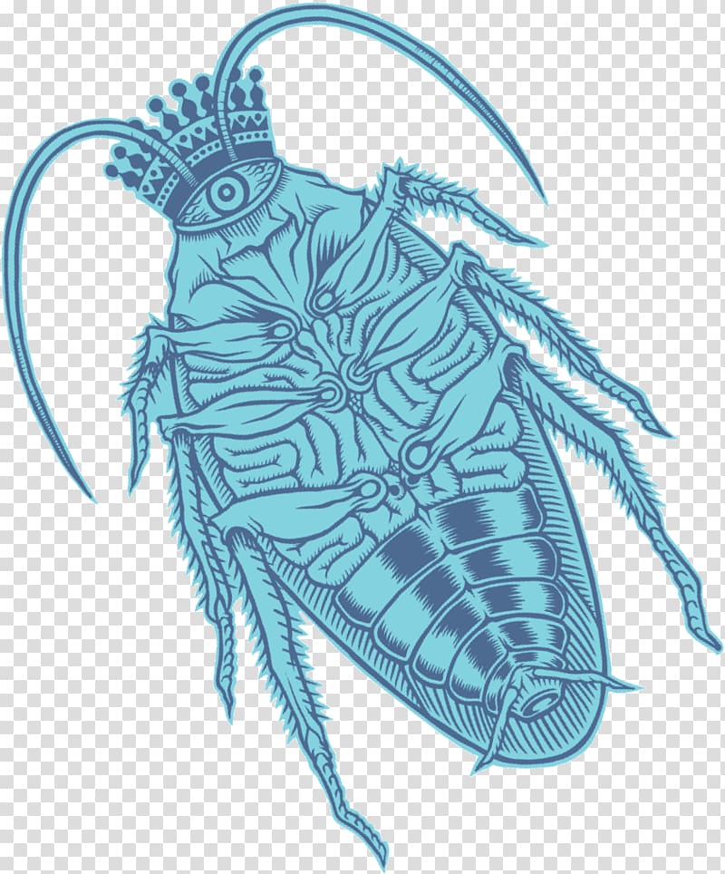 Speckled cockroach Insect Old Roach Pest, cockroach transparent background PNG clipart
