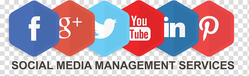 Social media marketing Digital marketing Management Social-Media-Manager, promotion transparent background PNG clipart
