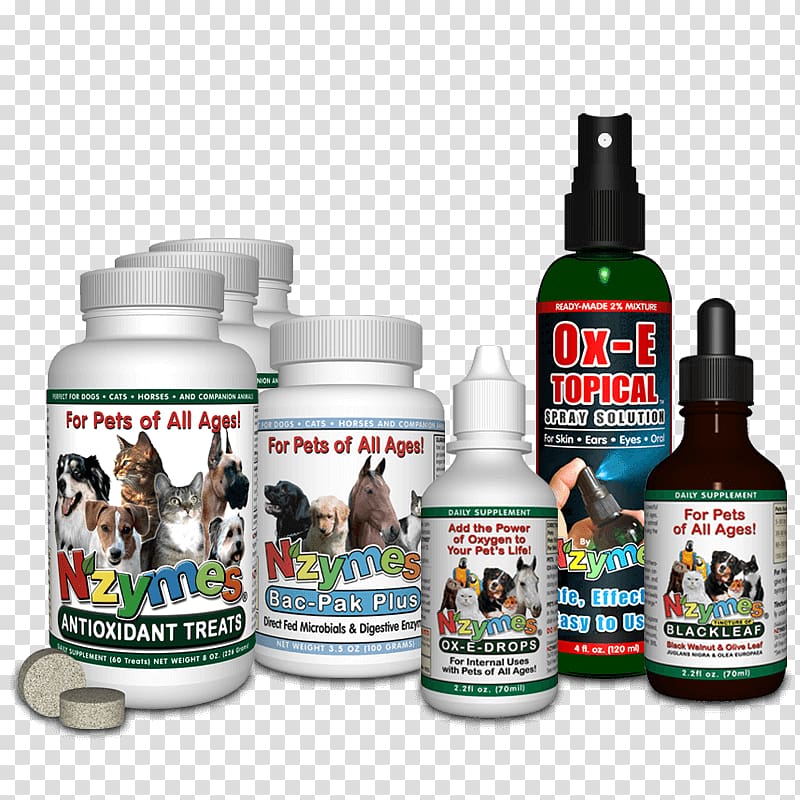 Bichon Frise Cairn Terrier Australian Cattle Dog Pet Dog Food, problem skin transparent background PNG clipart